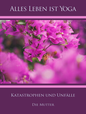 cover image of Katastrophen und Unfälle